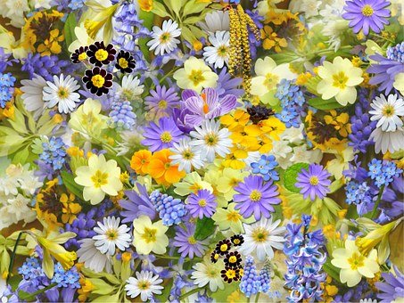 봄 꽃, 꽃들, 콜라주, 꽃의, 꽃, 아름다운, 아름다움, 블 룸